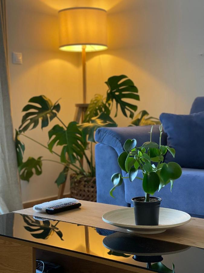 Cosy Apartment With Sea View Close To The Beach Nikiána Eksteriør bilde